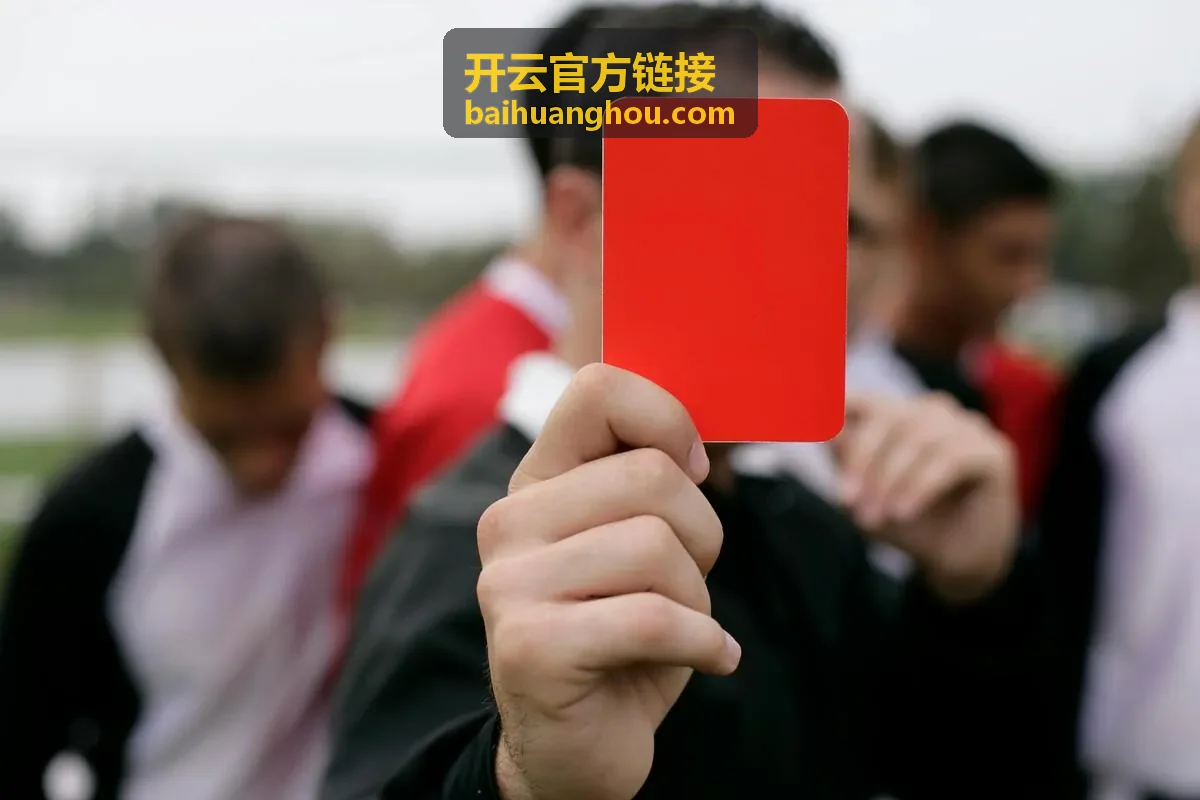 开云官方链接入口页面核对示意