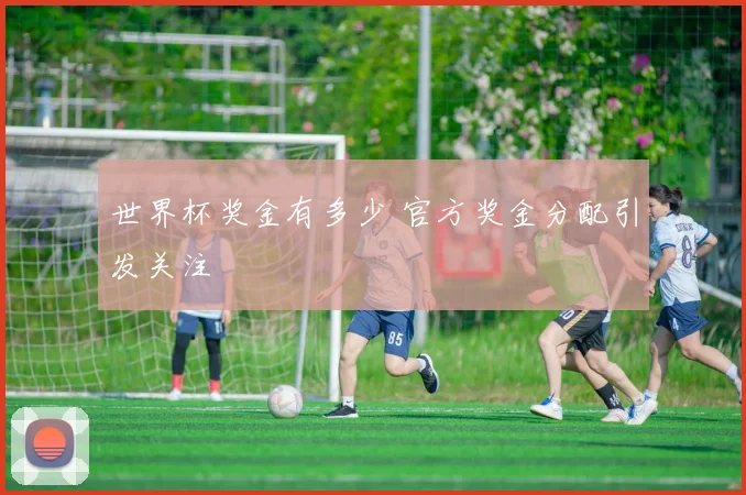 世界杯奖金有多少 官方奖金分配引发关注
