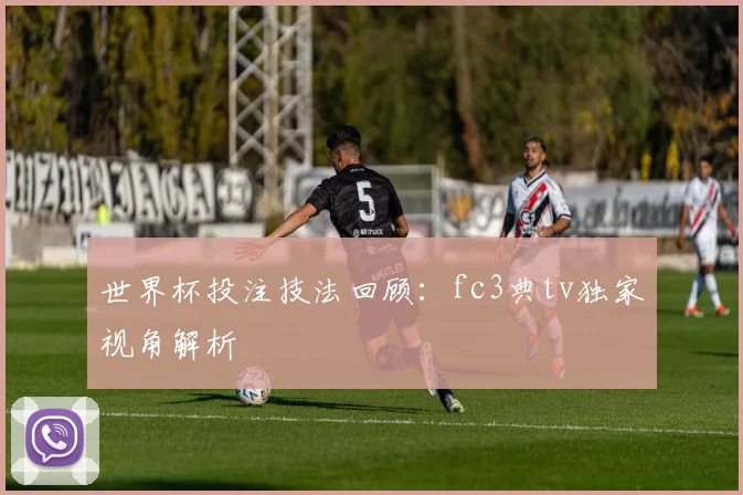 世界杯投注技法回顾：fc3典tv独家视角解析
