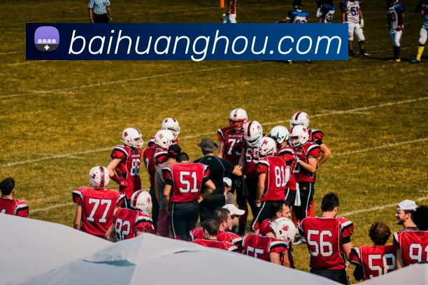 ayx.com官方版品牌故事