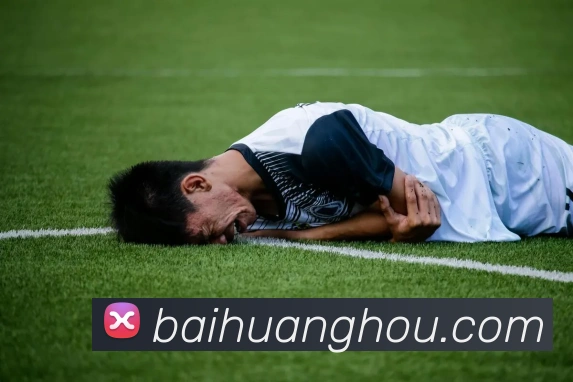 ayx.com官方版服务体系